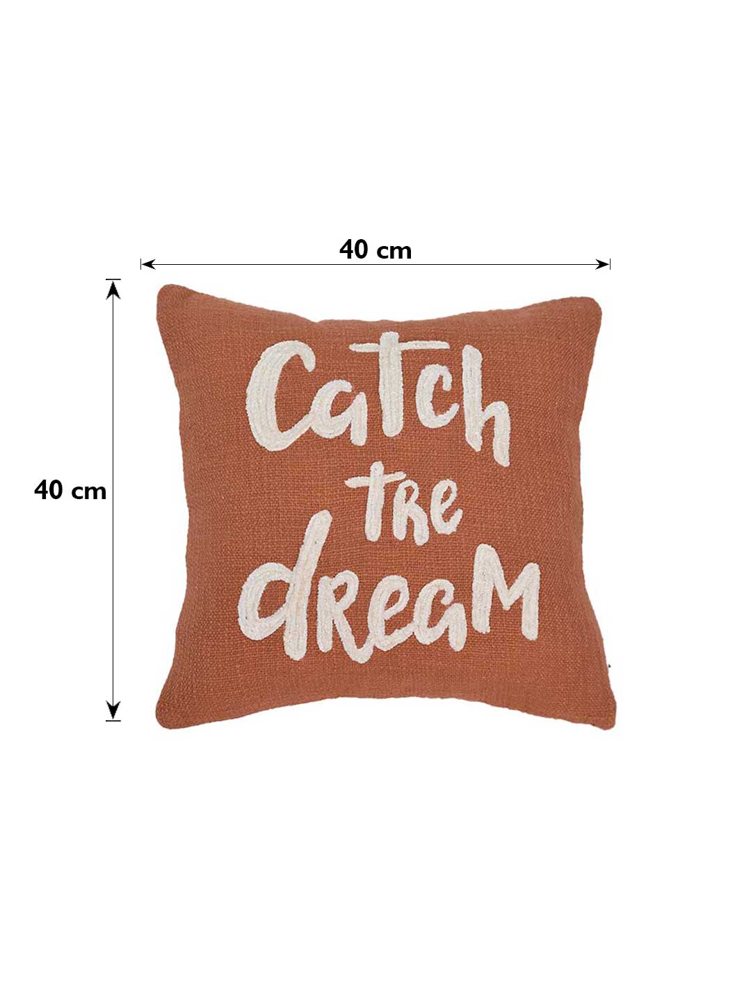 Catch the dream Cushion Cover